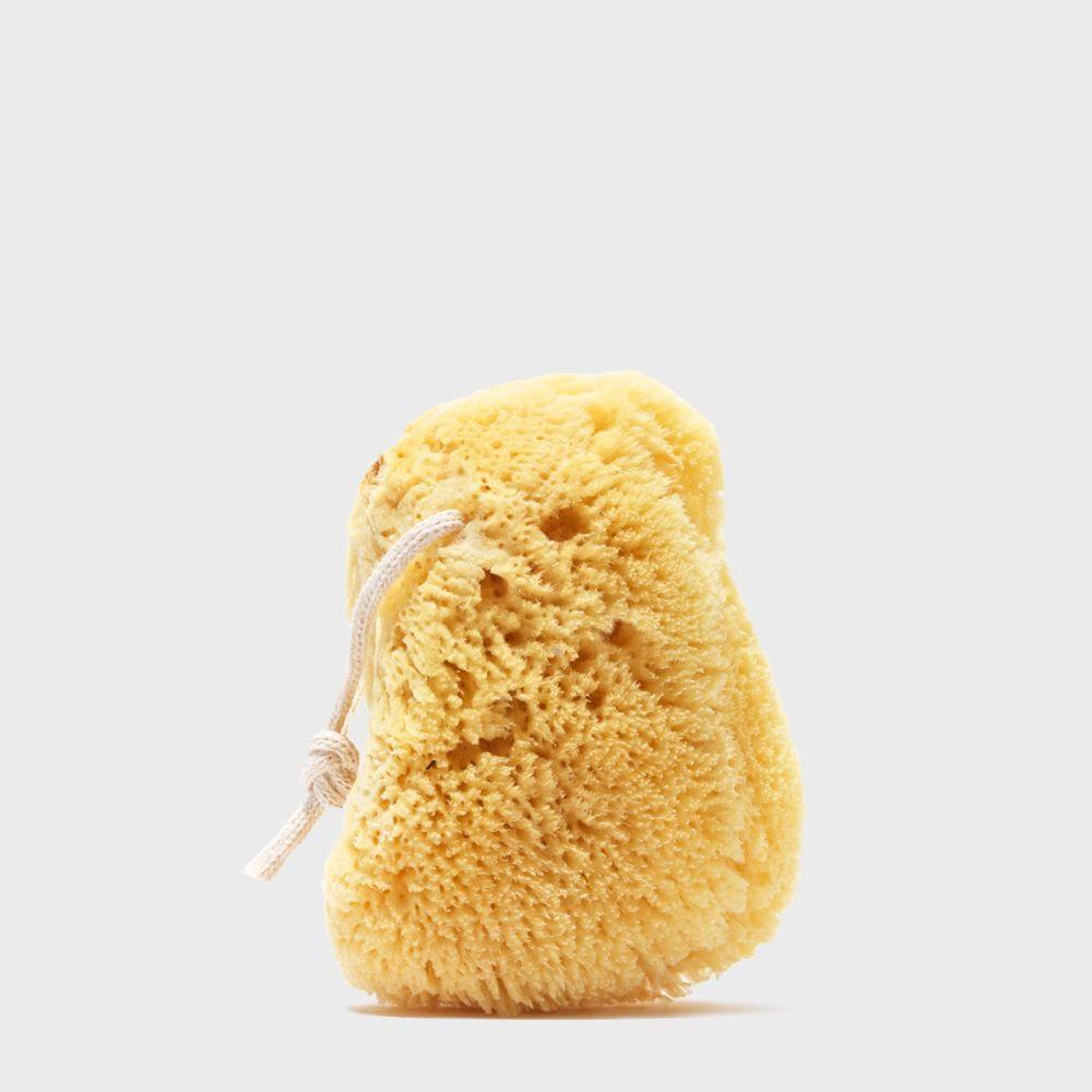 Public Goods Natural Bath Sea Sponge & Loofah