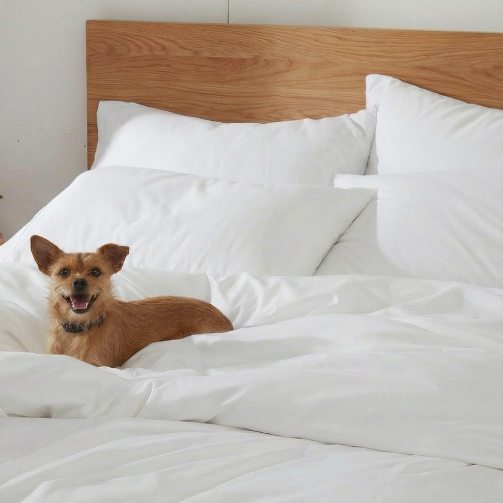 How To Clean A Mattress Naturally