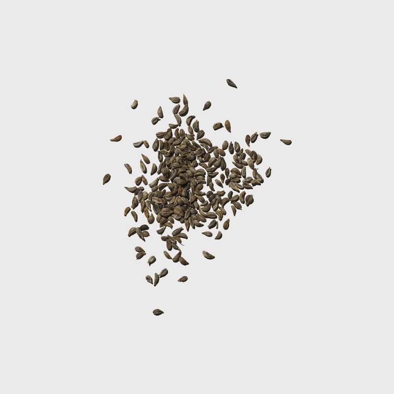 Public Goods Flat Leaf Parsley Seed Packet