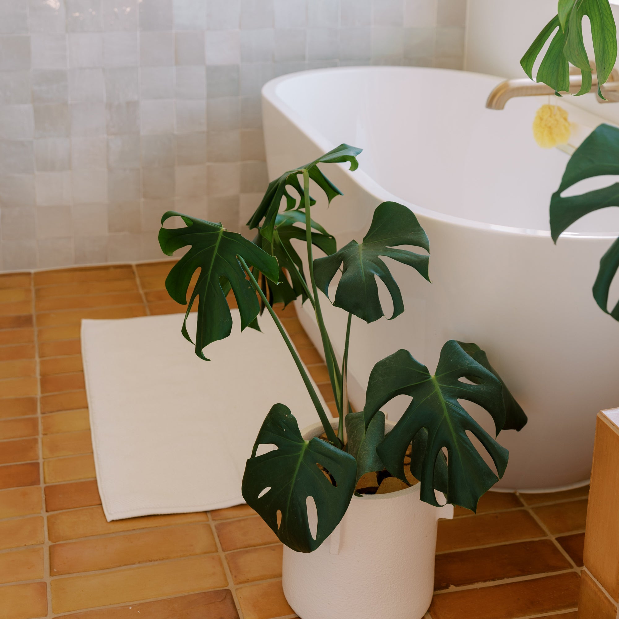 Public Goods Household Bath Mat (20