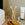Public Goods Product Set Dental Care