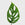 House Plant Dropship Indoor Plants Swiss Cheese Monstera 4