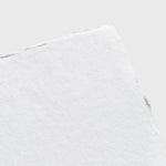 Public Goods Stationery Notecards & Envelopes Set