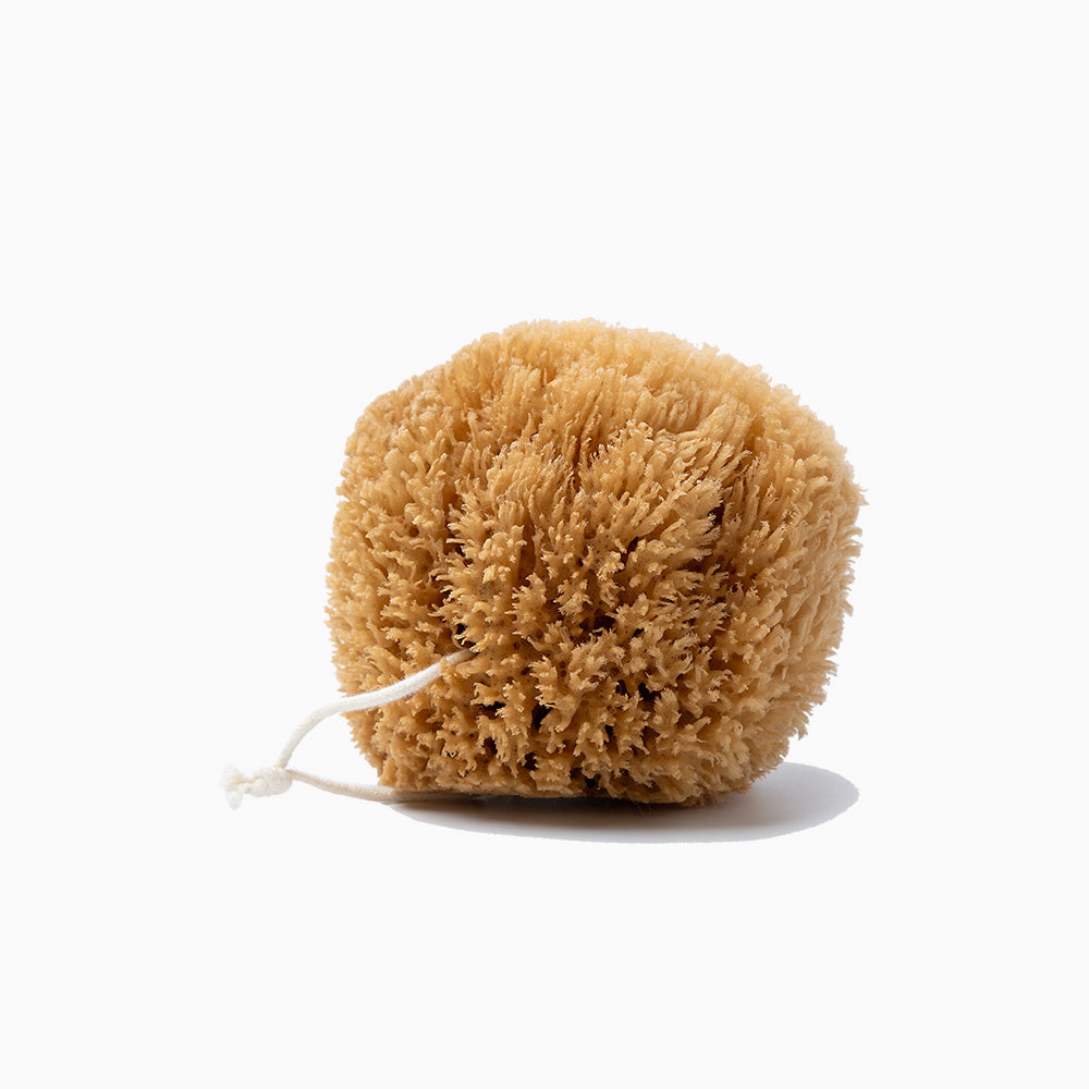 Public Goods Sea Sponge