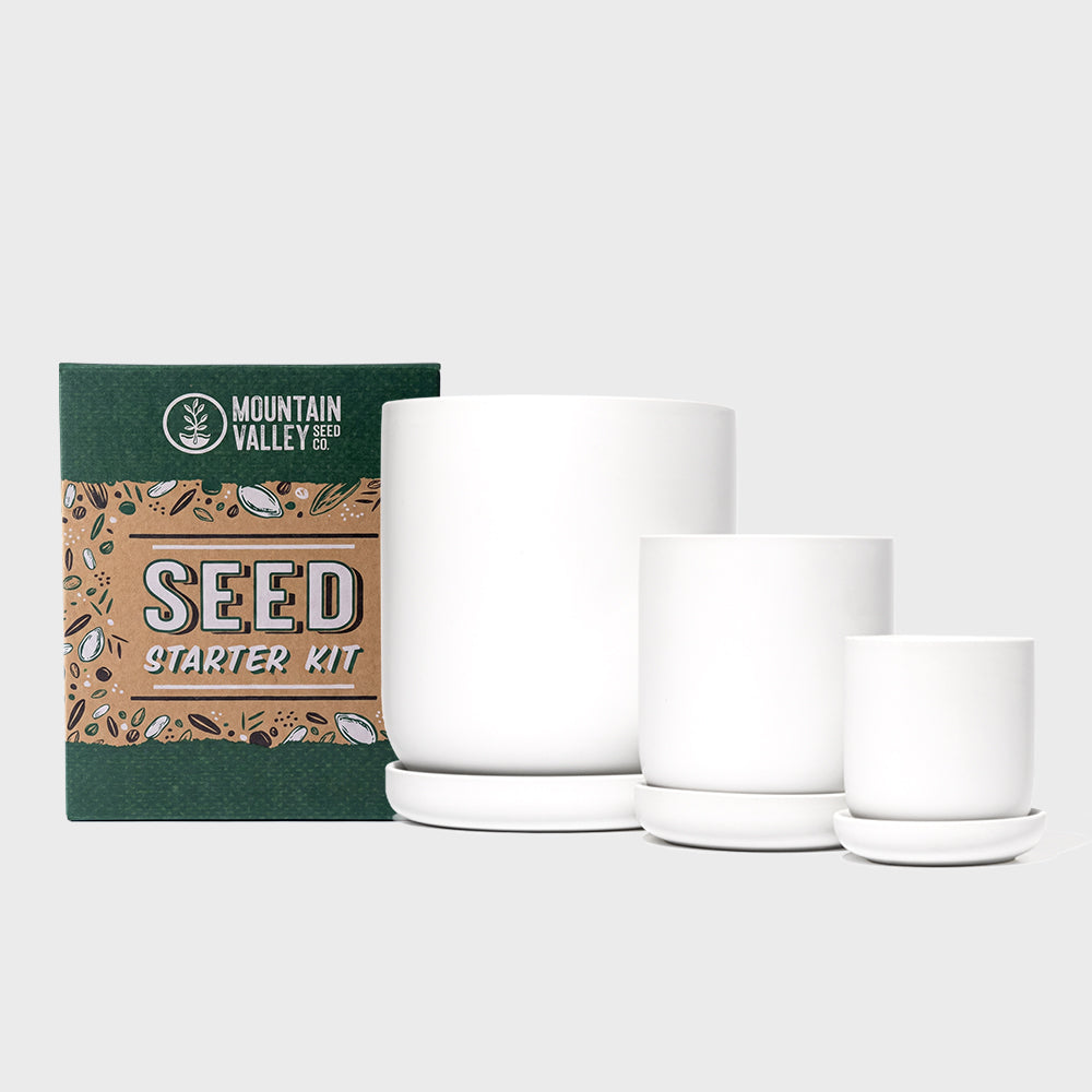 True Leaf Market Grow Kits Stoneware Planter & Seed Kit