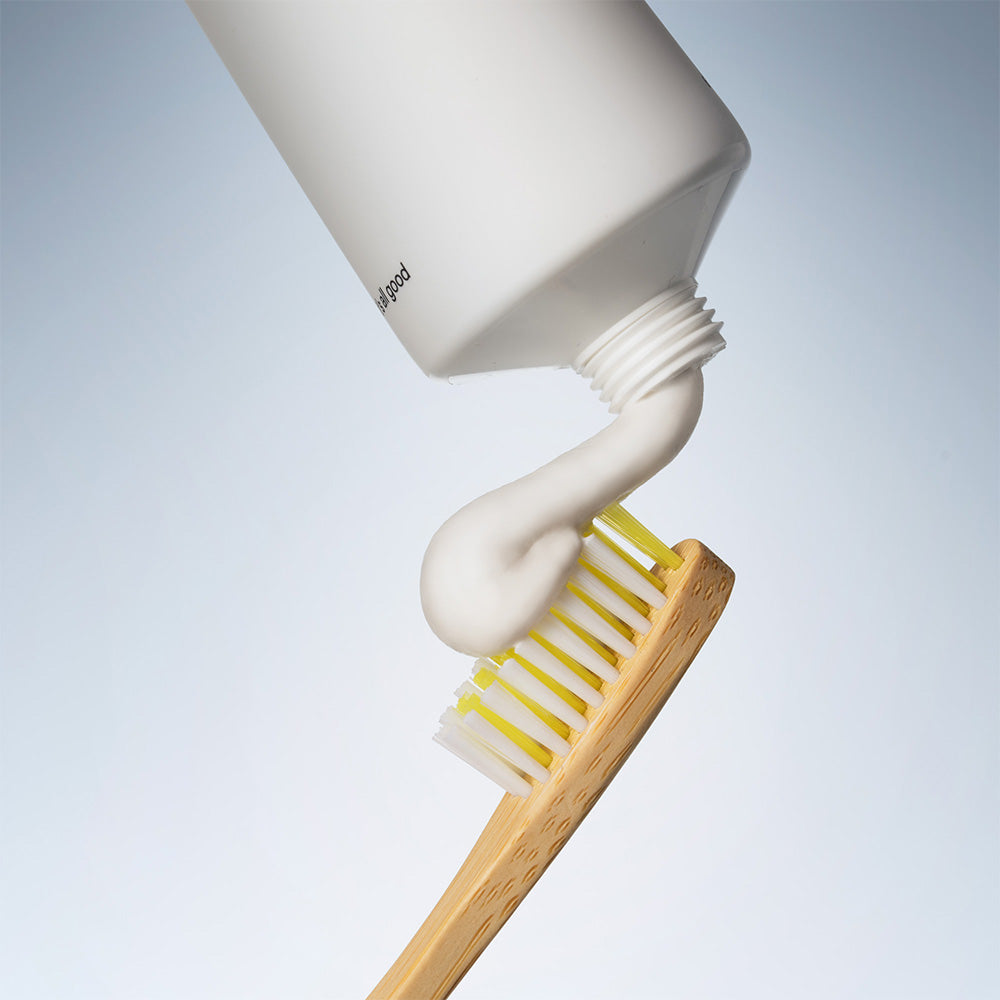 Bamboo Toothbrushes - 2 count & Toothbrush Holder