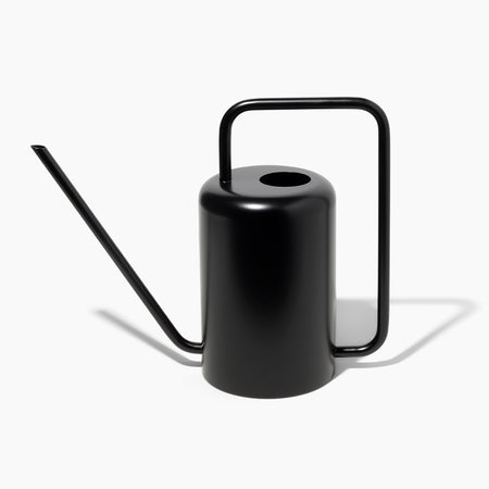 Stainless Steel Watering Can