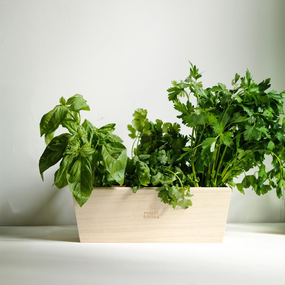 indoor wooden herb planter Wooden Herb Planter