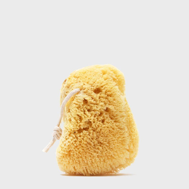 Public Goods Natural Bath Sea Sponge & Loofah